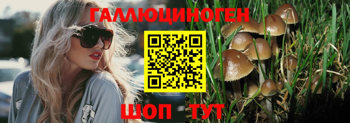 Марихуана  ГАШ  Вход с VPN  Сертолово  Кокаин  Мефедрон   Марихуана  Альфа ПВП СОЛЬ  